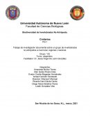 PIA 3 Biodiversidad de invertebrados no artropodos