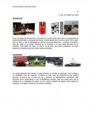 CICLO DE VIDA DEL PRODUCTO