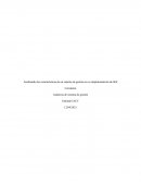 Analizando las características de un sistema de gestión en su implementación de SGI