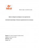 Actividad de Aprendizaje 2. Estructura organizacional de una empresa