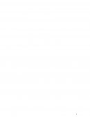 Investigación y acción