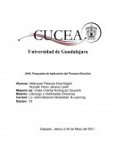 Propuesta de Aplicación del Proceso Directivo