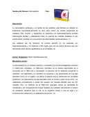 Ficha farmacologica. Atorvastatina
