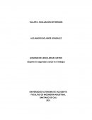 TALLER 2. EVALUACIÓN DE RIESGOS - GESTION DE SEGURIDAD Y SALUD EN EL TRABAJO