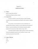 Identificación De Metales