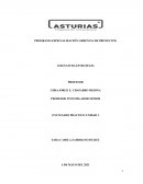 PROGRAMA ESPECIALIZACIÓN GERENCIA DE PROYECTOS