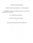 PROYECTO INTEGRADOR ARH PRODUCTIVIDAD Y SEGURIDAD EN LA ORGANIZACIÓN