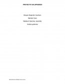 PROYECTO SALSIPUEDES