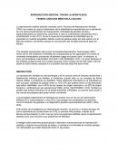 REPRODUCCIÓN ASISTIDA: TRATAR LA INFERTILIDAD