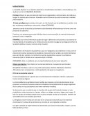 Resumen lectura framing