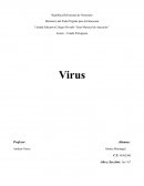 Virus