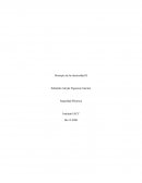 Principio de la electricidad II Seguridad Eléctrica