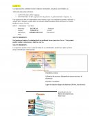 TIPOS DE ORGANIZACIONES