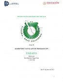 Arreglos y archivos de programación