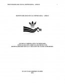 Responsabilidad Social y Empresarial - Caso ADIDAS