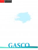 Resumen ejecutivo Gasco