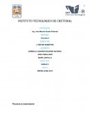 Mantenimiento eléctrico a transformadores