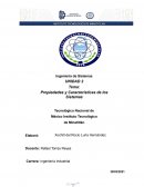 Ensayo Propiedades y Características de los Sistemas