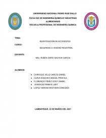 PROGRAMAS ESTADÍSTICOS DE ACCIDENTALIDAD. Página 1