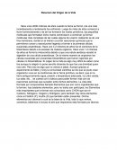 Resumen del Origen de la Vida