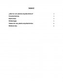 PLANTA ARQUITECTÓNICA