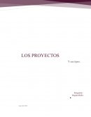 Proceso y tipos de proyectos