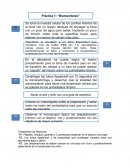 Tratamiento de Residuos. ¿Qué es el biomonitoreo?
