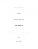 Activación de aprendizajes previos. Actividades de práctica