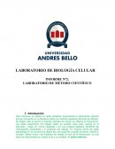 LABORATORIO DE BIOLOGÍA CELULAR INFORME Nº2: LABORATORIO DE MÉTODO CIENTÍFICO