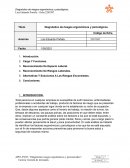 Diagnóstico de riesgos ergonómicos y psicológicos