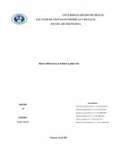 PRINCIPIOS DEL ENTRENAMIENTO