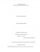 Proyecto de aplicación Zapatos del sur SL