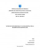 ESTUDIO DE PLANTAS MEDICINALES Y CULTURA ANCESTRAL PARA LA IMPLEMENTACION EN NUESTRAS VIDAS