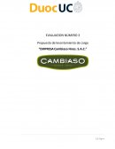 Propuesta de levantamiento de cargo “EMPRESA Cambiaso Hnos. S.A.C.”