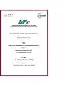 VIABILIDAD DE UNA EMPRESA DE AUTOMATIZACIÓN/DOMÓTICA EN LA LAGÚNA