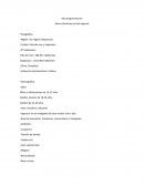 Microsegmentación Marca Starbucks a nivel regional