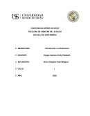 ANÁLISIS DE LA TEORÍA DE MADELEINE LEININGER