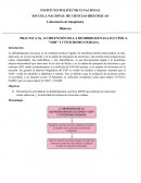 PRACTICA No. 12 OBTENCIÓN DE LA DESHIDROGENASA SUCCÍNICA "SDH" Y CITOCROMO OXIDASA