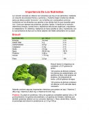 Importancia de los nutrientes