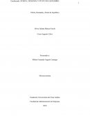 Taller oferta, demanda y punto de Equilibrio