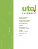 La colaboración en redes