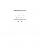 Principios de los mercados financieros