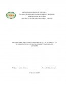 INVESTIGACION DEL USO DE LA REDES SOCIALES Y SU INFLUENCIA EN EL AUMENTO DE LAS VENTAS DEL COMERCIO EN EL ESTADO CARABOBO