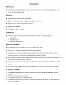 CITOESQUELETO