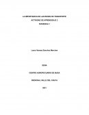 LA IMPORTANCIA DE LAS REDES DE TRANSPORTE