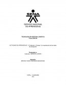 Ensayo “La importancia de las redes de transporte”