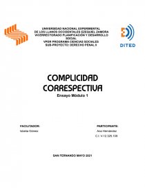 SUB-PROYECTO: DERECHO PENAL I. Página 1
