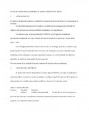 PLAN DE ESTRATEGIA COMERCIAL PARA EL PROYECTO NEXO