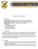 Plan de Trabajo - Línea de Pan Artesanal