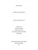 Trabajo de filosofía del conocimiento